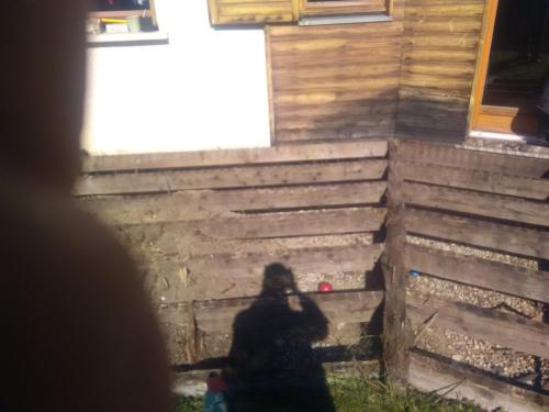 terraSe boiS avant et apreS a St juSt 20200415 1784421694